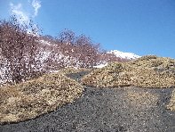 Serra_delle_Concazze - 20100402 109.jpg